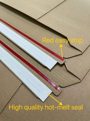Eco-vriendelijk Recycle Custom Gekrompen Papier Boeken Mailer voor Bedrijven Winkelen Koerier