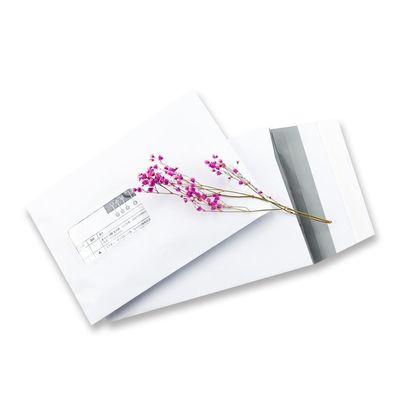 120 gram Kraftpapier Pocket Style Gusset Envelope voor express verpakken