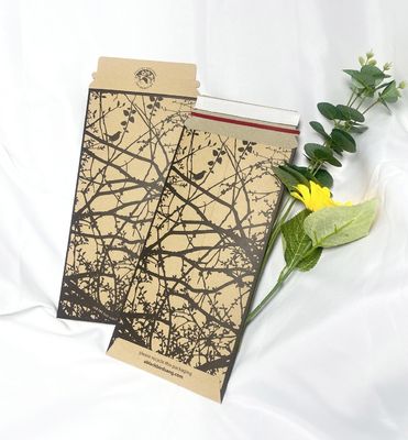 Gemakkelijke en duurzame bezorgpakketten Recycled Kraft Expandable Rigid Mailer for Books