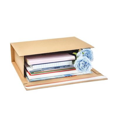 Bruine E-fluit golfkarton 3 laag mailer voor levering verpakking mailingbox